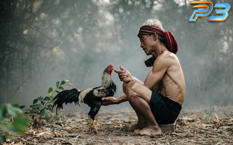 Cách làm nước cho Gà Chọi giúp tăng thể lực sung mãn 2 Nguyên liệu và liều lượng nước cho gà chọi